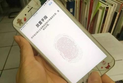 钱包处于冻结状态_imtoken钱包会被冻结吗_imtoken钱包被冻结