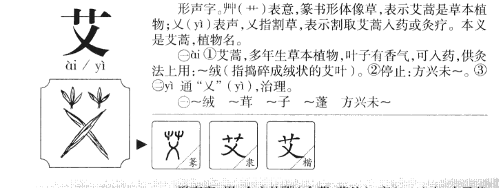 中文读书笔记朝花夕拾_imtoken中文怎么读_中午好英语用中文读