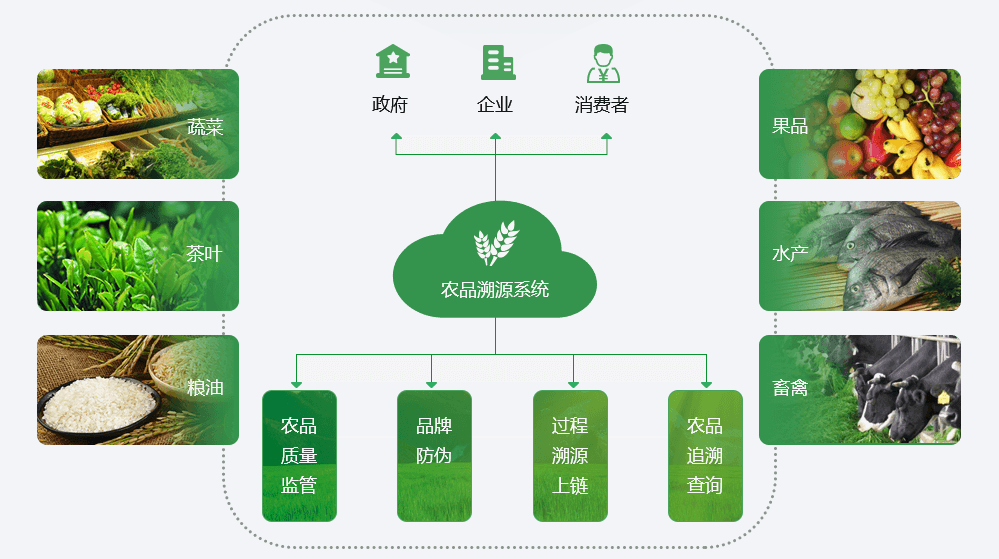 单词重音如何读_lamp单词怎么读_单词imtoken怎么读