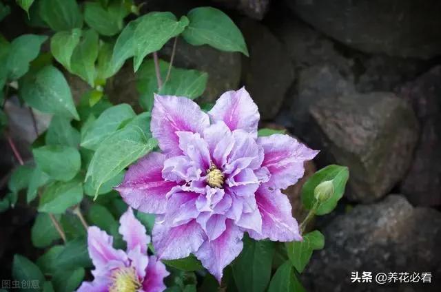 钱包使用方法_imtoken钱包如何使用_钱包使用了十多年