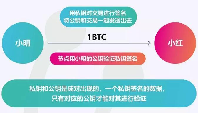 imtoken钱包怎么导入私钥_imtoken钱包怎么导入私钥_imtoken钱包怎么导入私钥