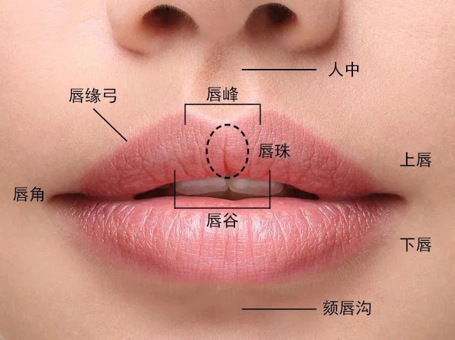 钱包的矿工费_im钱包矿工费去哪买_im钱包矿工费谁有