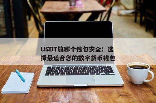 usdt用什么钱包安全,如何选择和使用安全的USDT钱包