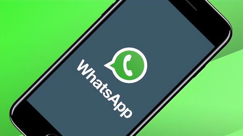 whatsapp推广运动鞋文案,穿上速度与激情，WhatsApp带你探索运动鞋的无限可能