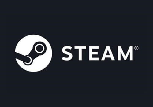 steam国际版