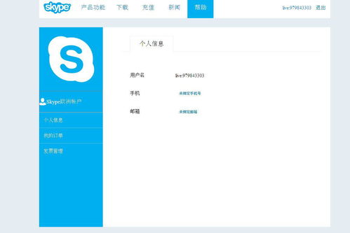 skype名字怎么看,探寻个性与社交的交织