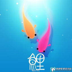 泡泡大作战游戏手机游戏 