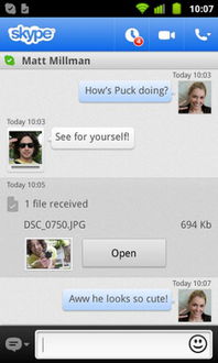 skype会自动解冻吗,揭秘解