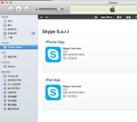 skype 下载 macbook,体验全新功能