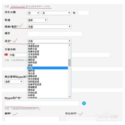 skype 账号哪里看,Skype账号位置及查看方法详解”