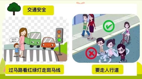 交通安全云课堂 