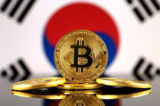 韩国主播加密货币爆仓,揭秘虚拟货币市场的风险与教训
