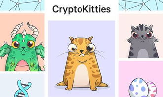 国内以太坊猫,揭秘区块链上的虚拟宠物经济奇迹