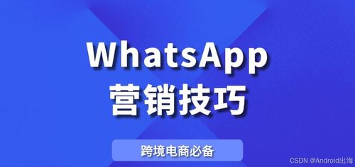 WhatsApp在哪里营销,揭秘社交平台上的高效推广策略