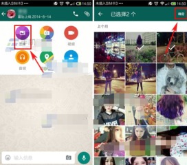 whatsapp怎么收到照片,轻松获取与分享精彩瞬间