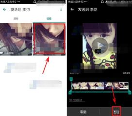 WhatsApp文件怎么下载,轻松获取与整理重要信息