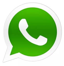 whatsapp为什么一直显示在线,揭秘WhatsApp持续显示在线的神秘原因