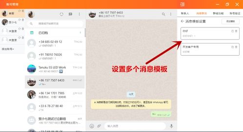 广州whatsapp群发软件,高效触达目标群体的秘密武器