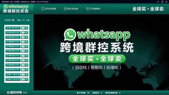黑石whatsapp官方客服,高效便捷的沟通体验